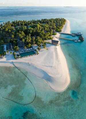 Sir Bani Yas Island – Full-Day Experience